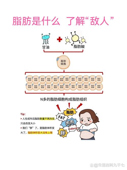 吃什么可以分解脂肪