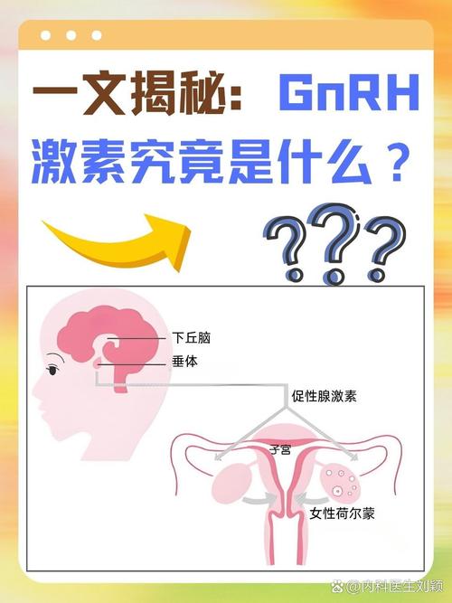 什么是女性雌激素