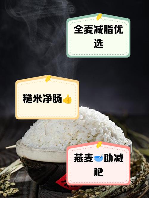 减肥米饭用什么代替