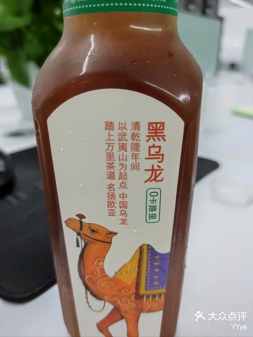 减肥喝什么乌龙茶好