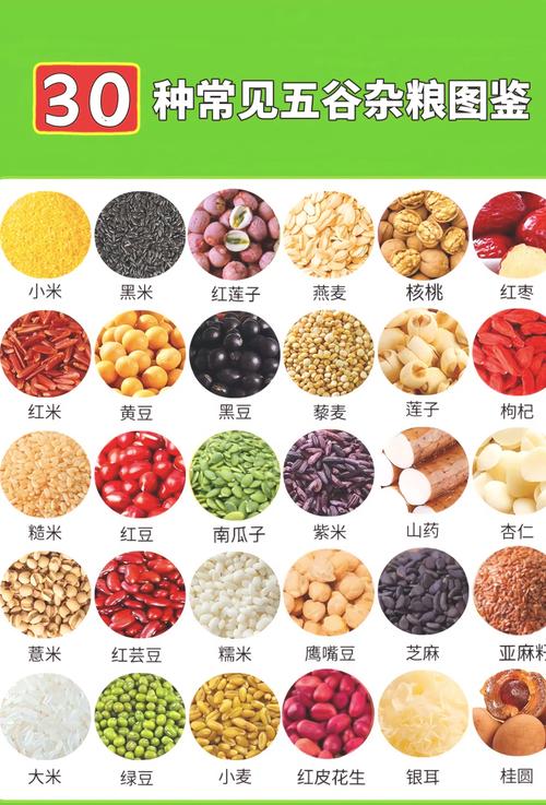 减肥吃什么谷物