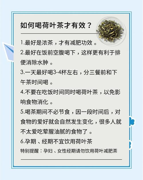 荷叶配什么喝才减肥