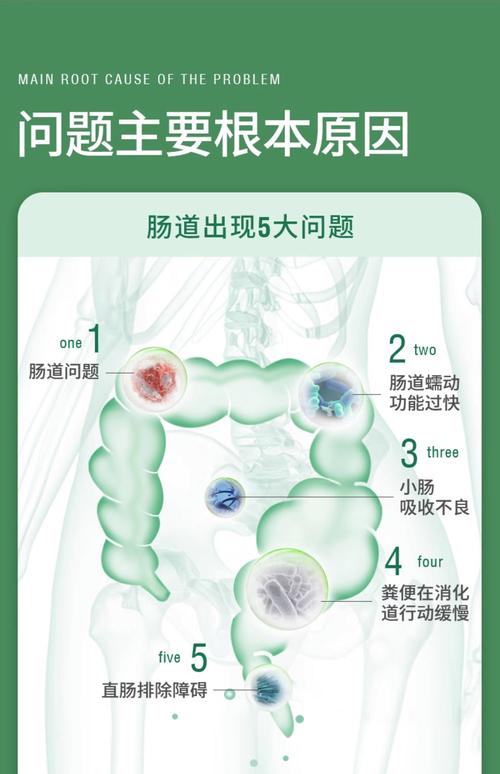 清肠用什么