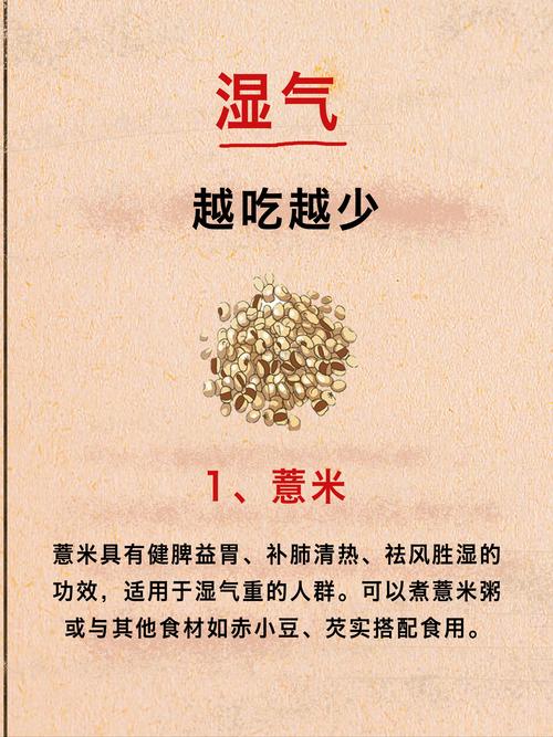 吃什么杂粮除湿减肥