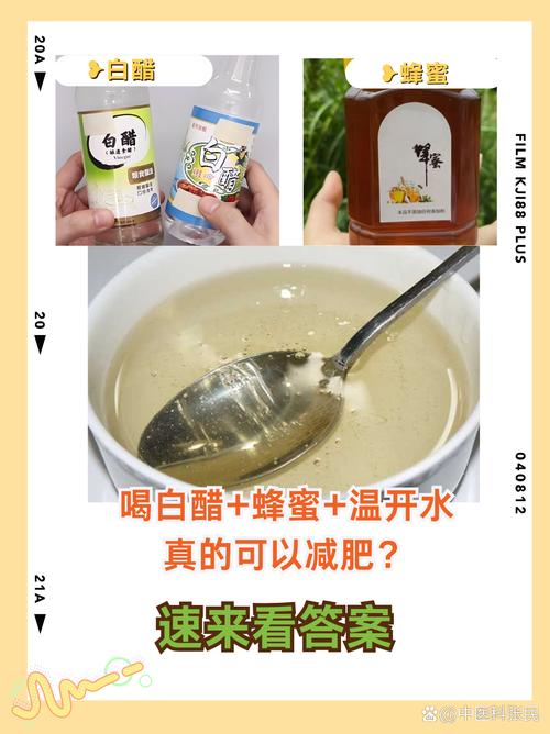 白醋泡什么减肥