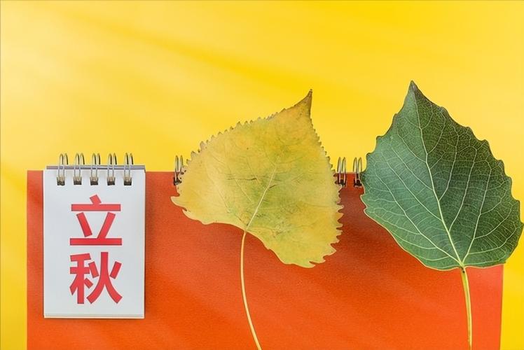 今年什么秋