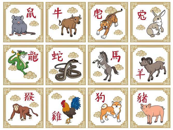 寂什么生肖