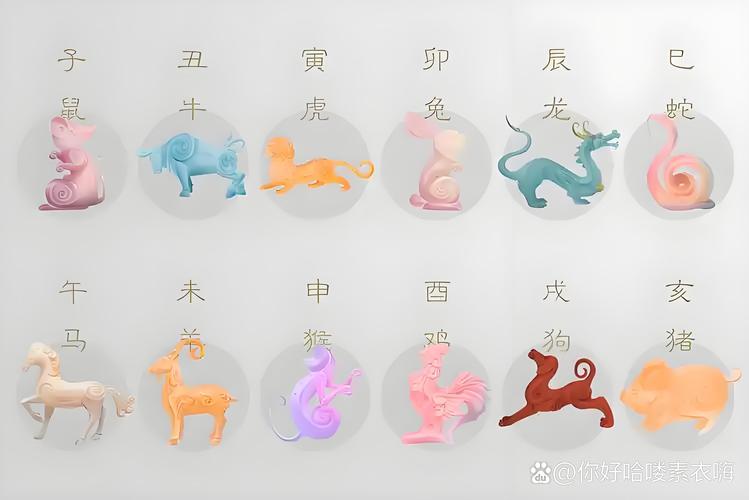 寂什么生肖