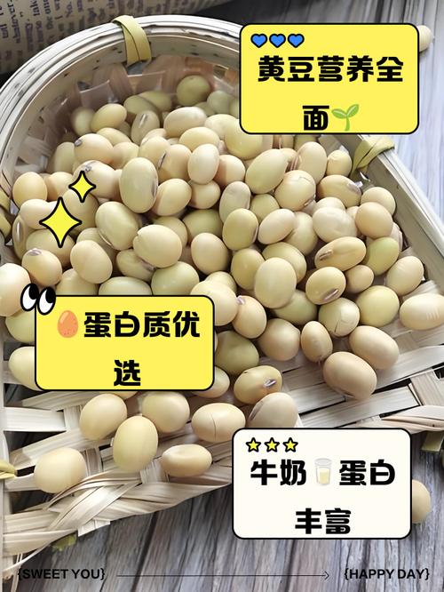 蛋白低吃什么补的快