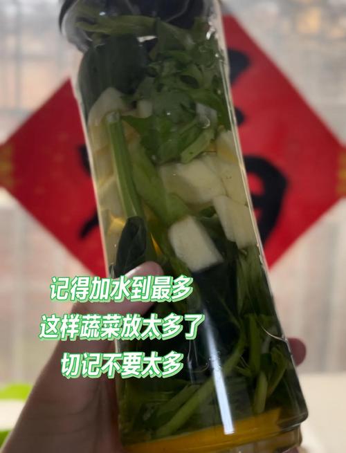 吃什么野菜汁可以减肥