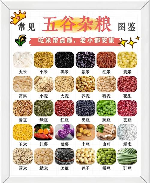 吃什么五谷可以减肥吗