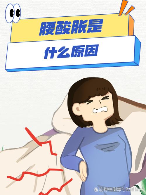 减肥期间腰酸为什么