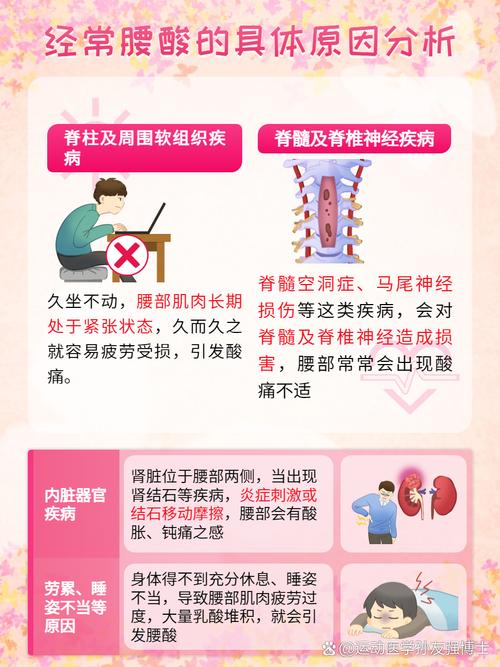 减肥期间腰酸为什么