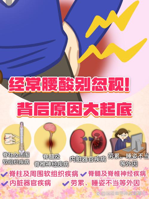 减肥期间腰酸为什么