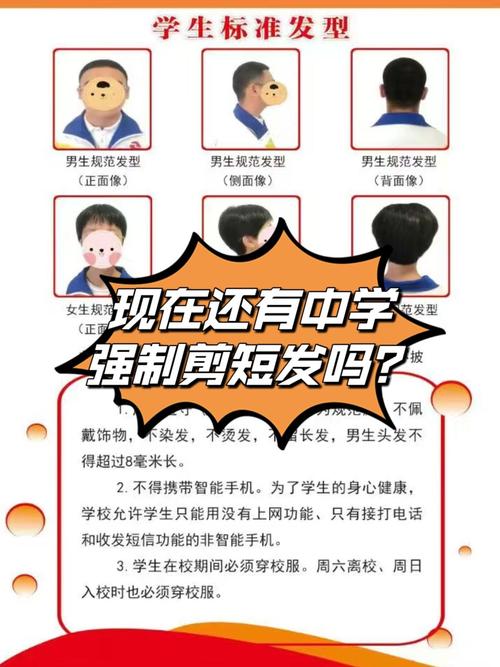 初中为什么要剪头发