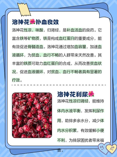洛神花为什么能减肥