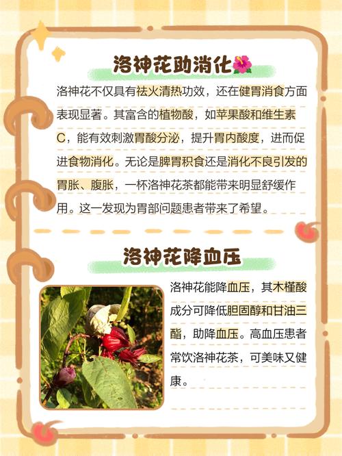 洛神花为什么能减肥