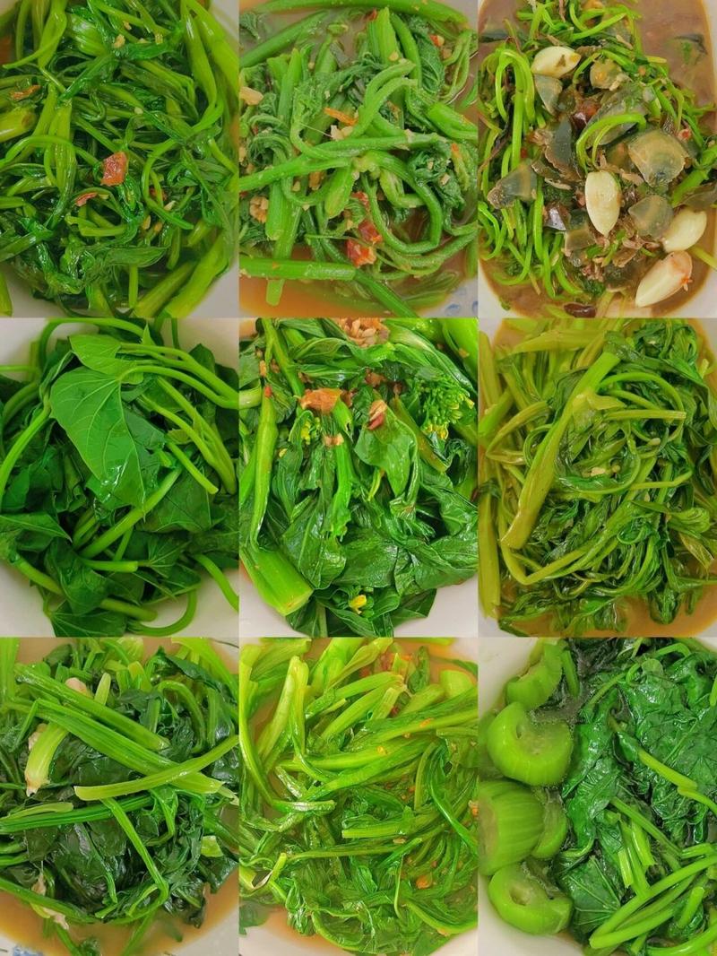 减肥吃什么菜比较好