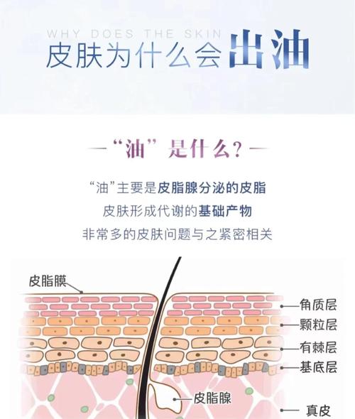 脸上很油是什么原因