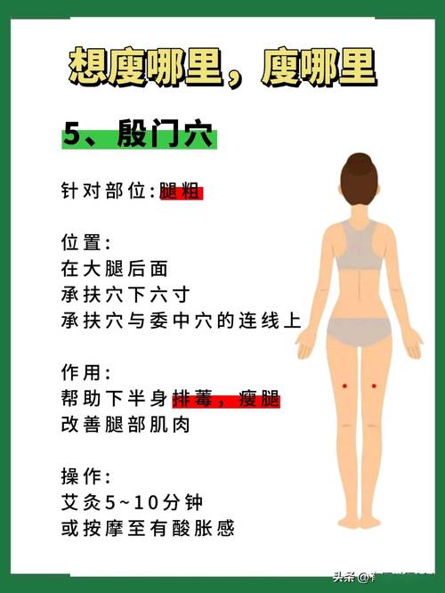 五行经络减肥是什么