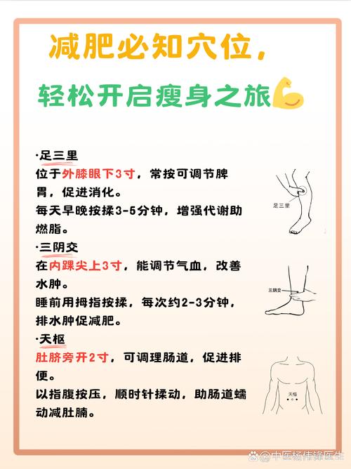 五行经络减肥是什么