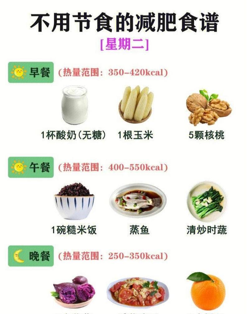 节食减肥吃什么
