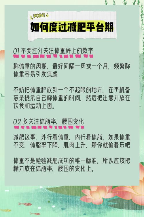 什么是减肥停滞期