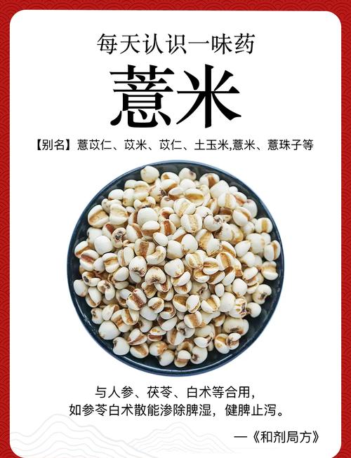 薏米有什么功效和作用