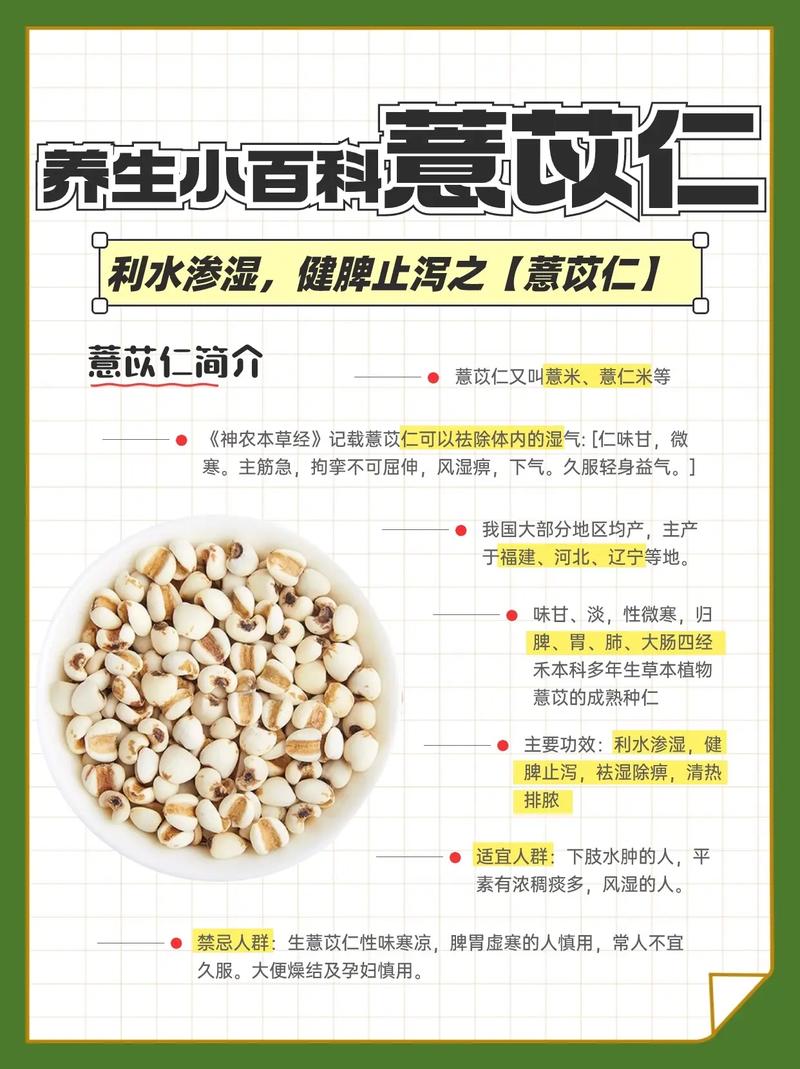 薏米有什么功效和作用