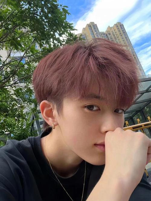 男生头发染什么颜色
