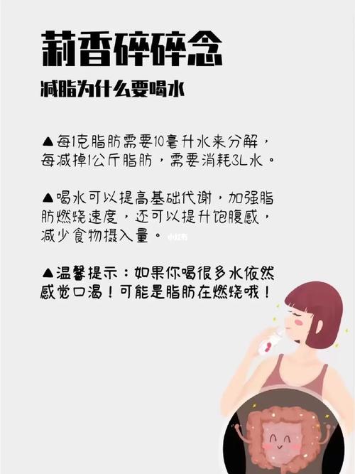 减肥为什么不能喝水