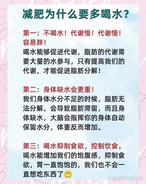 减肥为什么不能喝水