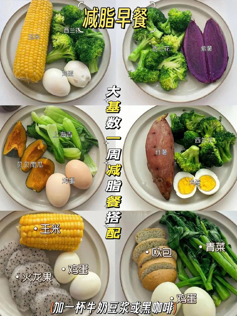 减肥加餐吃什么好