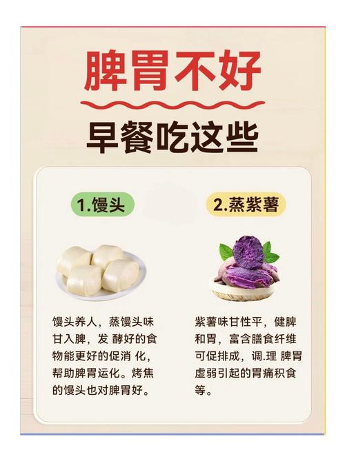 吃什么既养胃又减肥