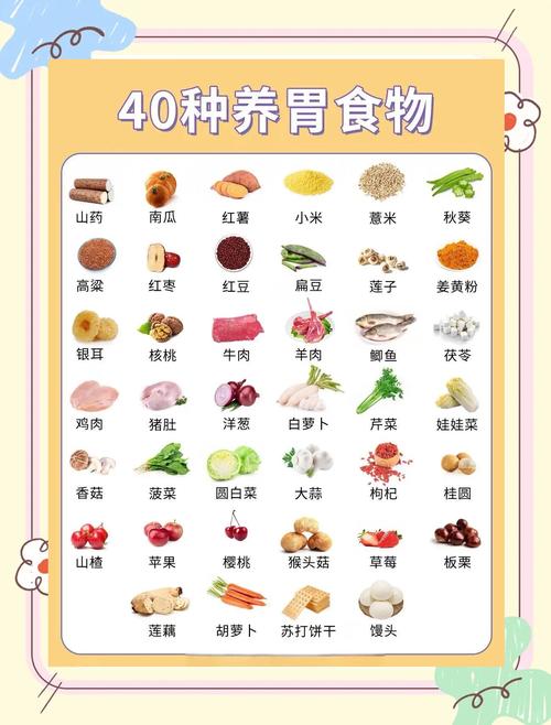 吃什么既养胃又减肥