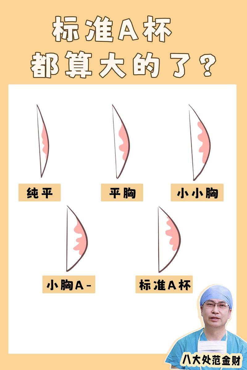A罩杯是什么