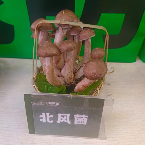 蘑菇配什么
