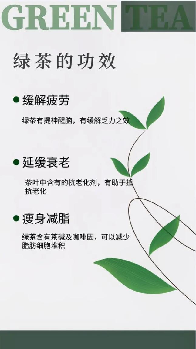 绿茶和什么一起泡可以减肥