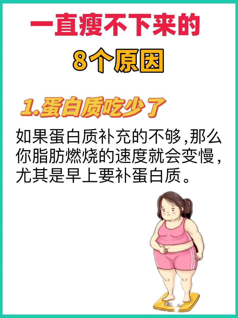 减肥难减是什么原因