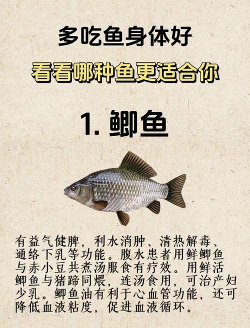 什么鱼适合减肥
