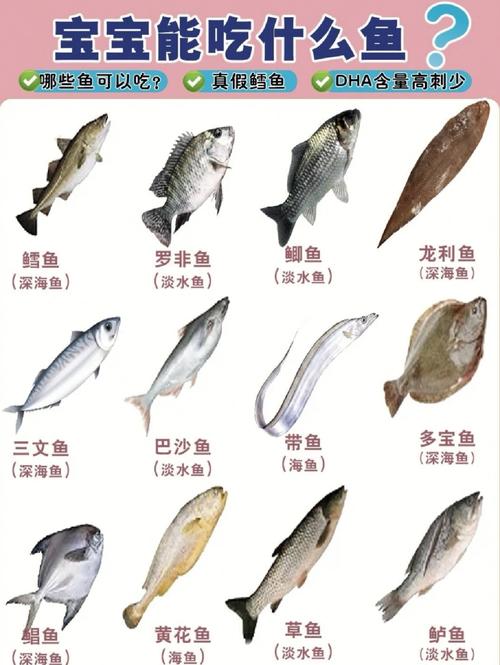 减肥期间什么鱼不可以吃