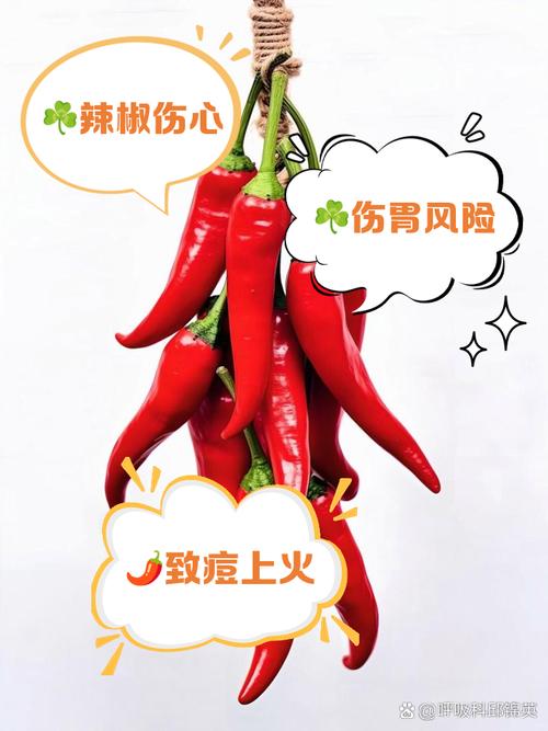 辣椒和什么不能一起吃