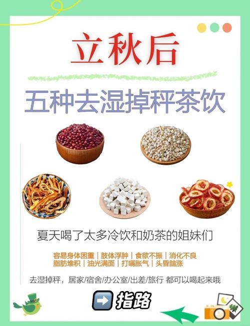 什么茶减肥效果最快