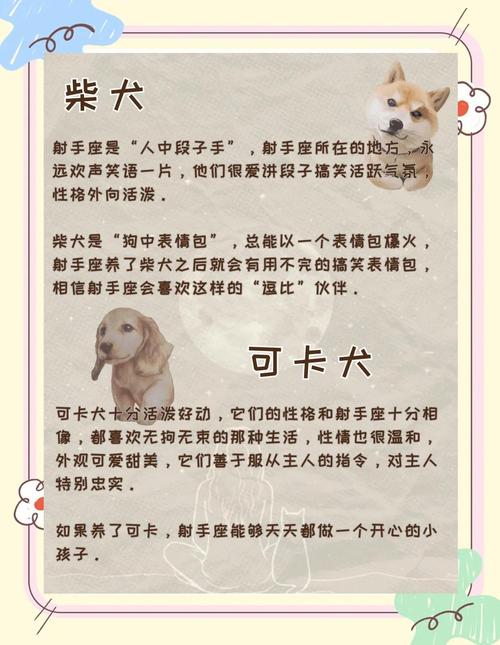 射手座适合养什么狗