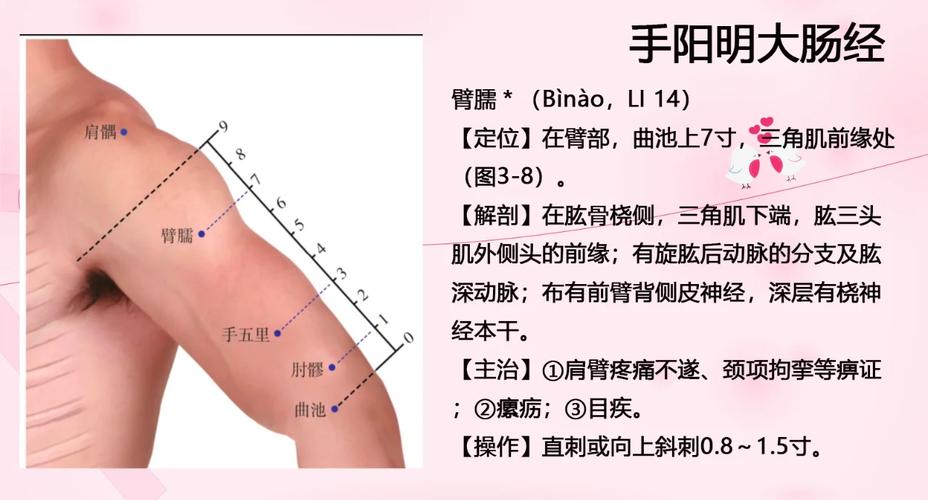 手臂减肥按摩什么穴位