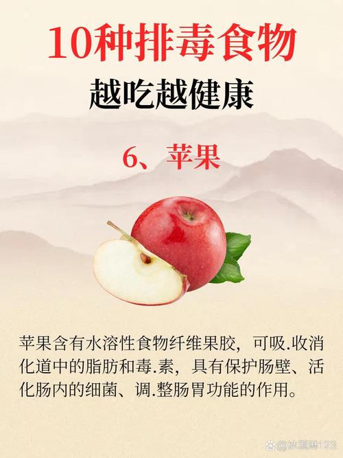 减肥排毒素前三天吃什么好