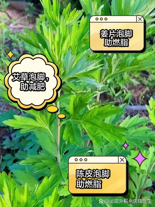 泡脚减肥怎样泡用什么泡
