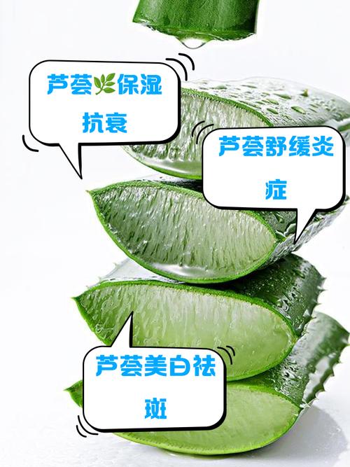 芦荟擦脸有什么作用