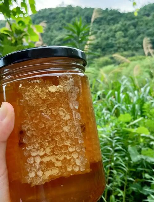 蜂蜜配什么吃能减肥吗