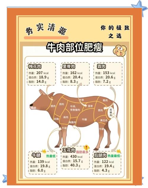 为什么减肥要吃牛肉